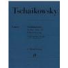 Tschaikowsky 柴科夫斯基 D大调小提琴协奏曲op. 35 HN 685