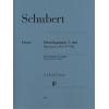 Schubert 舒伯特 C大调弦乐五重奏op. post. 163 D 956 HN 812