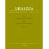 Brahms 勃拉姆斯 小提...
