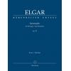 Elgar, Edward 埃尔加 弦乐小夜曲 op. 20 BA 9041