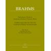 Brahms 勃拉姆斯的室内乐演出实践（德文/英文）（理论书籍）.BA 9600 