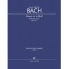 J S Bach 巴赫 B小调弥撒曲 BWV 232（总谱） CA.3123200